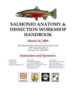 Fish Dissection Handbook
