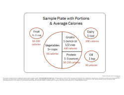 Sample Plate Portions Calories