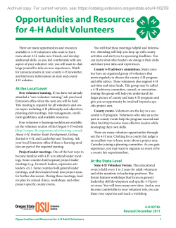 Opportunities for 4-H Leaders