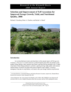 Selection and Improvement of Teff Accessions for Improved Forage Growth, Yield, and Nutritional Quality, 2008