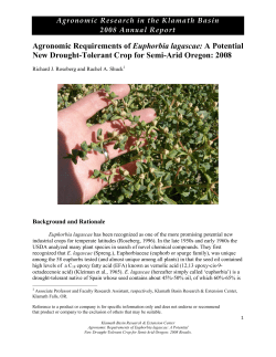 Agronomic Requirements of Euphorbia lagascae: A Potential New Drought-Tolerant Crop for Semi-Arid Oregon, 2008