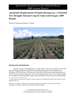 Agronomic Requirements of Euphorbia lagascae: A Potential New Drought-Tolerant Crop for Semi-Arid Oregon, 2009