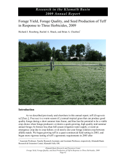 Forage Yield, Forage Quality, and Seed Production of Teff in Response to Three Herbicides, 2009