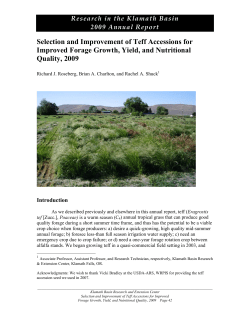 Selection and Improvement of Teff Accessions for Improved Forage Growth, Yield, and Nutritional Quality, 2009