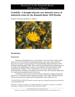 Grindelia- A drought-tolerant, new domestic source of industrial resins for the Klamath Basin, 2010