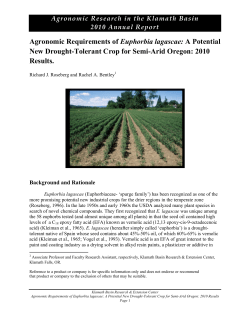 Agronomic Requirements of Euphorbia lagascae: A Potential New Drought-Tolerant Crop for Semi-Arid Oregon, 2010
