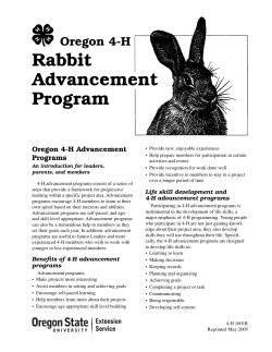Rabbit Advancement