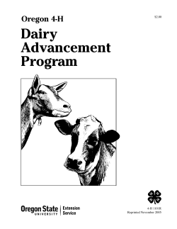Dairy Advancement