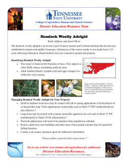 Hemlock Woolly Adelgid - A new invasive insect in Tennessee