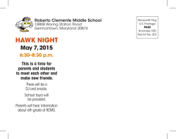 Golden Hawk Night Flyer