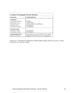 Common Non-pathogenic Parasites (PDF: 189KB/1 page)