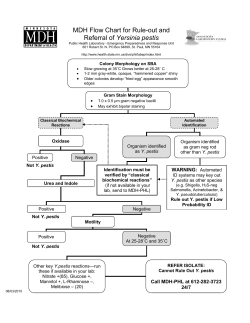 MDH Flow Chart for Rule-out and Referral of Yersinia pestis