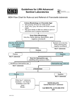 MDH Flow Chart for Rule-out and Referral of Francisella tularensis