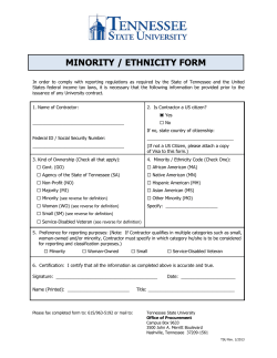 Minority/Ethnicity Form