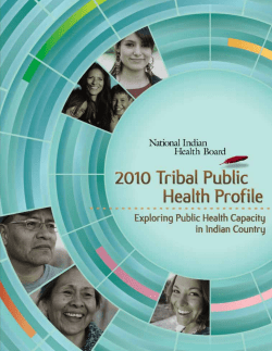 2010 Tribal Public Health Profile: Exploring Public Health Capacity in Indian Country (PDF)