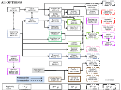 Pre-requisite Flow Chart