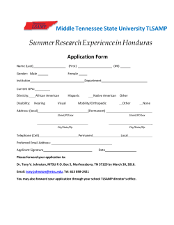 2016 TLSAMP Summer Research Application