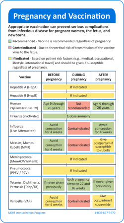 Pregnancy and Vaccination Pocket Guide (PDF: 31KB/2 pages)