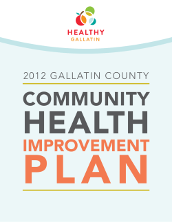 2012 Gallatin County Community Health Improvement Plan (PDF)