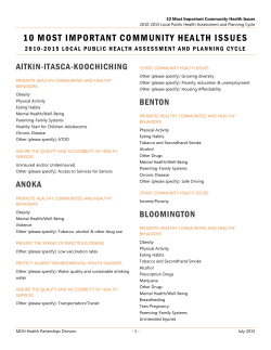 10 Most Important Community Health Issues (PDF)