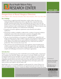 Perspectives of rural hospice directors