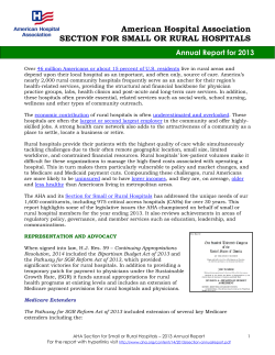 Annual report on small and rural hospitals, 2013