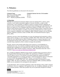 Phthalates (PDF: 339KB/12 pages)