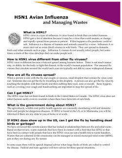 H5N1 Frequently Asked Questions (PDF: 103KB/2 pages)
