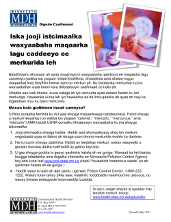 Somali version: Stop using skin lightening products containing mercury (PDF: 151KB/1 page)