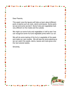 Theme Unit Parent Letter