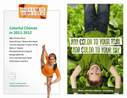 Sample Program Brochure (PDF: 4.2/2 pages)