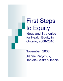 First Steps to Equity: Ideas and Strategies for Health Equity in Ontario, 2008-2010