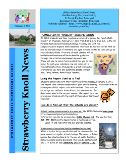 Knoll News February 4, 2011&nbsp;