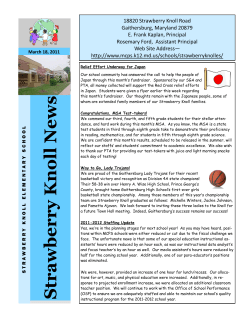 Knoll News March 18, 2011&nbsp;