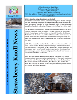 Knoll News ~ January 17, 2014