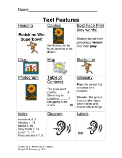 Text Features Chart