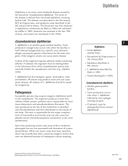 Diphtheria: Epidemiology and Prevention of Vaccine-Preventable Diseases (PDF)