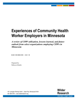 Experiences of Community Health Worker Employers in Minnesota: A review of CHW utilization, lessons learned, and future outlook from select organizations employing CHWs in Minnesota (PDF)