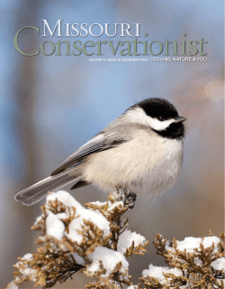 Download the current issue