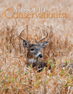 Download the current issue