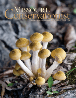 Download the current issue