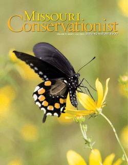 Download the current issue