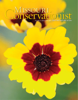 Download the current issue