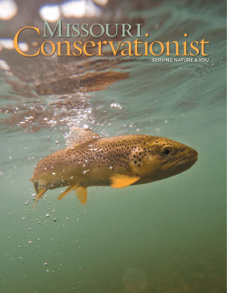 Download the current issue