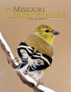 Download the current issue
