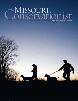 Download the current issue