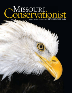 Download the current issue