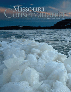 Download the current issue