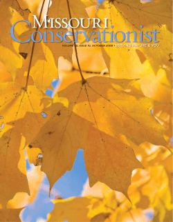 Download the current issue