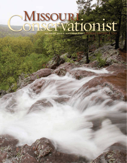Download the current issue